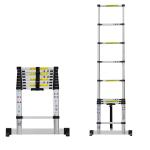 3.2m 10-step telescopic aluminum ladder APT AL-320  