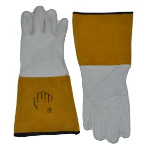Pakistani long argon gloves  